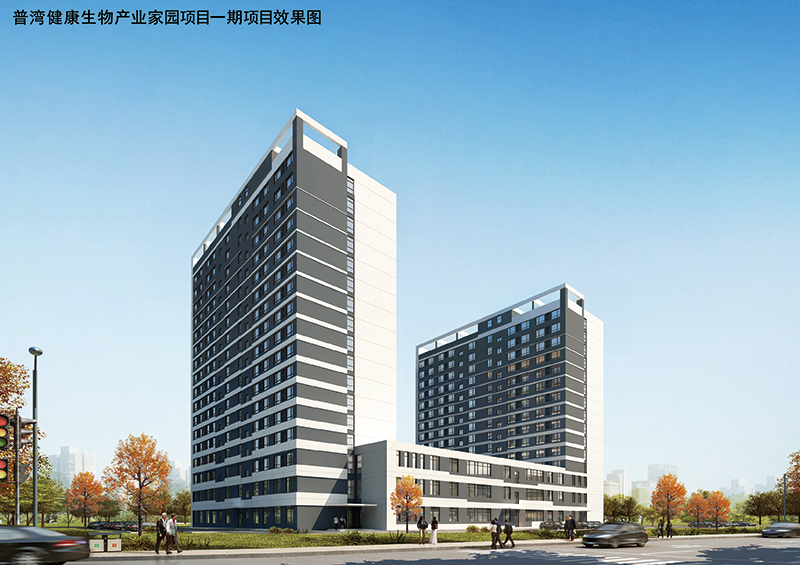 1665195679492317.jpg 306.jpg